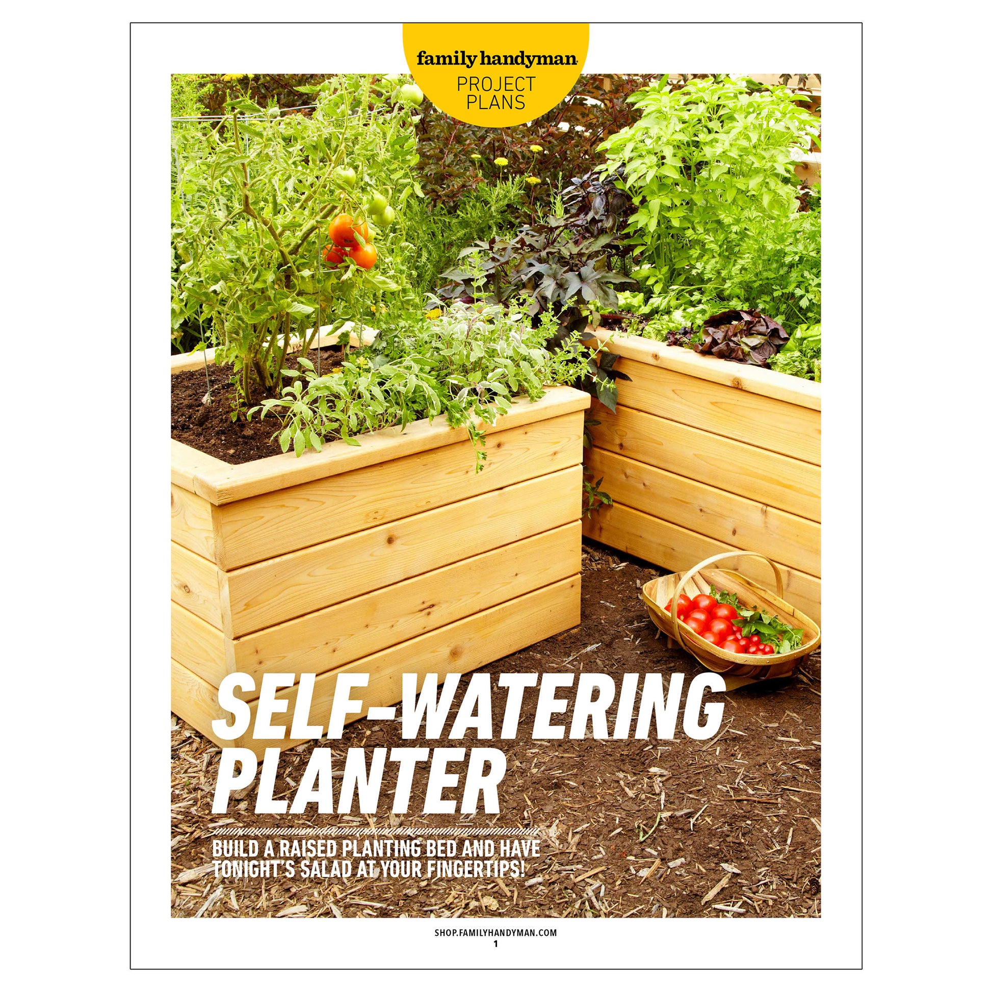 Family Handyman self-watering cedar planter